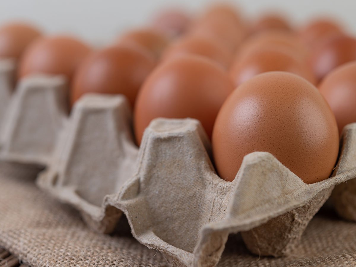 Supplying Eggs to Hotels and Institutions in Kenya