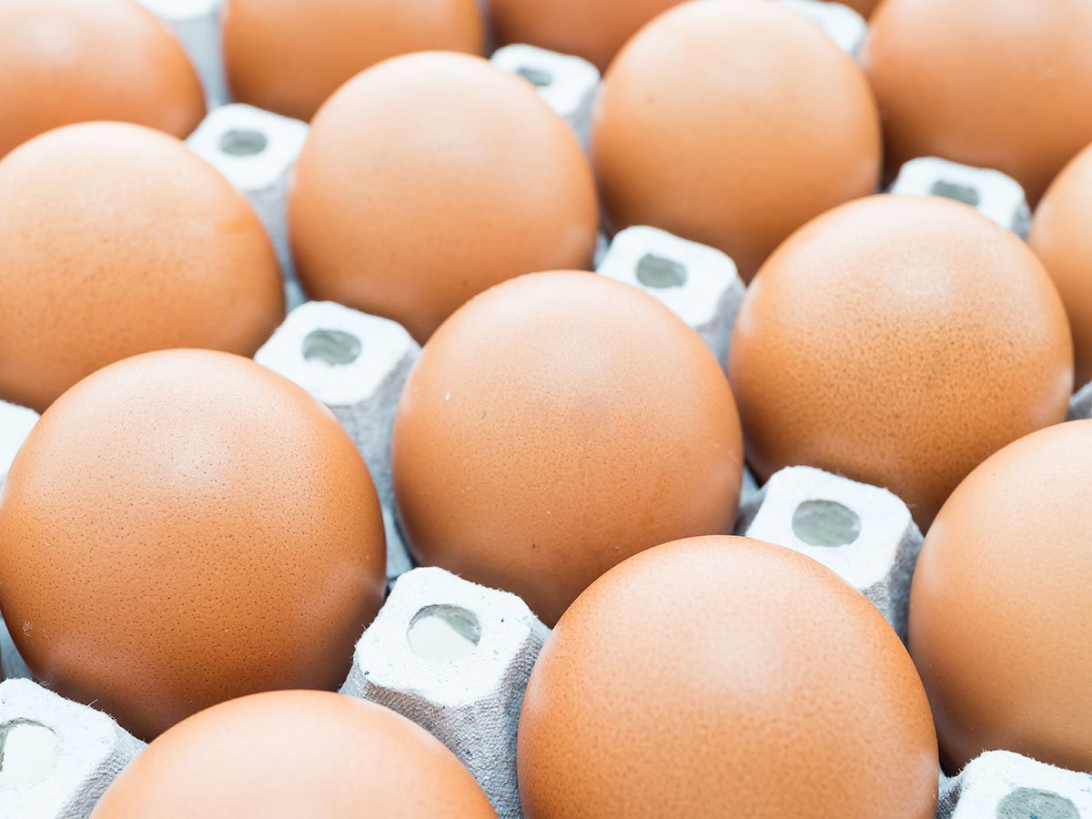 Farm-Fresh Eggs Near Me: Why Soba Renaissance Is the Go-To in Kenya