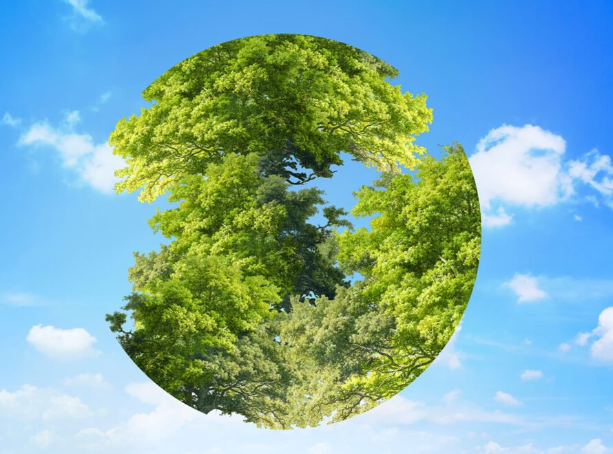 The Environmental Impact of Choosing Local Farm Produce in Kenya