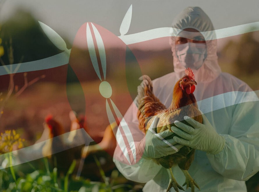 Biosecurity on Kenyan Poultry Farms The Science That Protects Your Breakfast