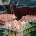 Egg Supply in Kenya Explained Why Consistency Is the Biggest Challenge