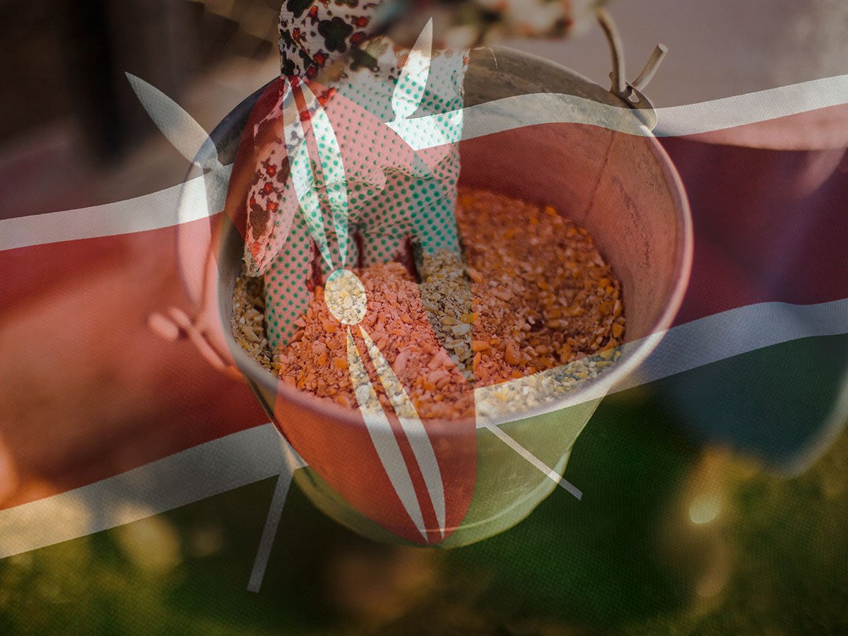 From Feed to Shell How Nutrition Shapes Egg Quality in Kenyan Farms