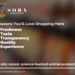 5 Reasons You Should Shop at Soba Renaissance