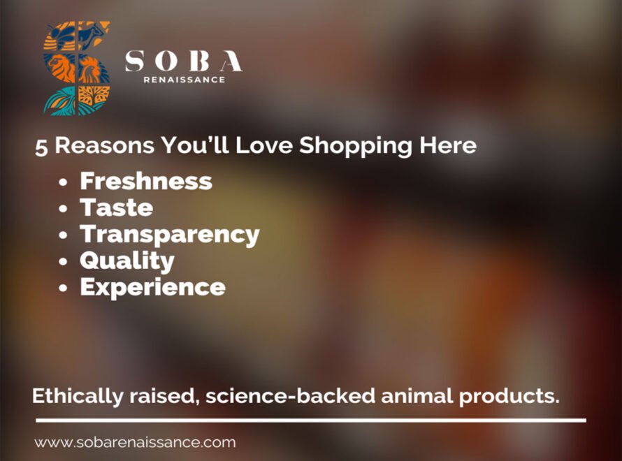 5 Reasons You Should Shop at Soba Renaissance