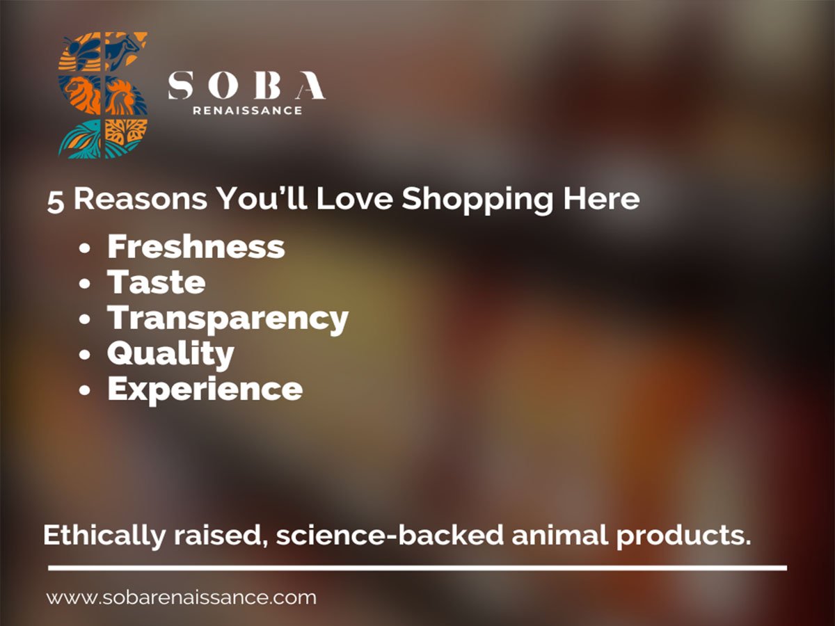 5 Reasons You Should Shop at Soba Renaissance