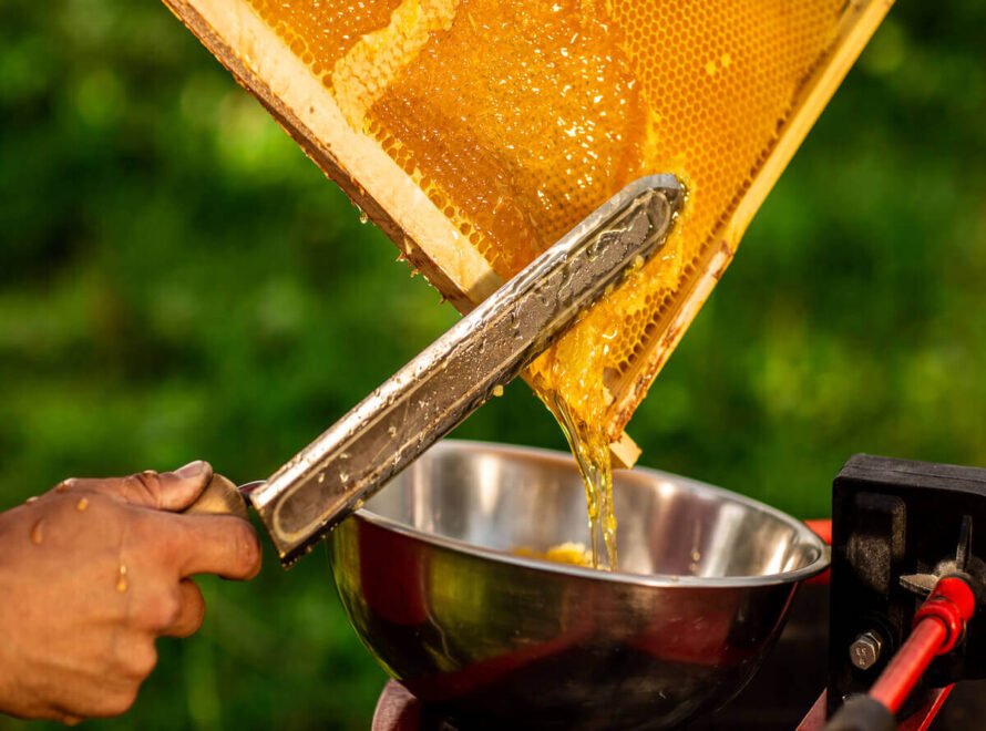 Farm-to-Fork Honey: How Soba Renaissance Delivers Pure Organic Honey