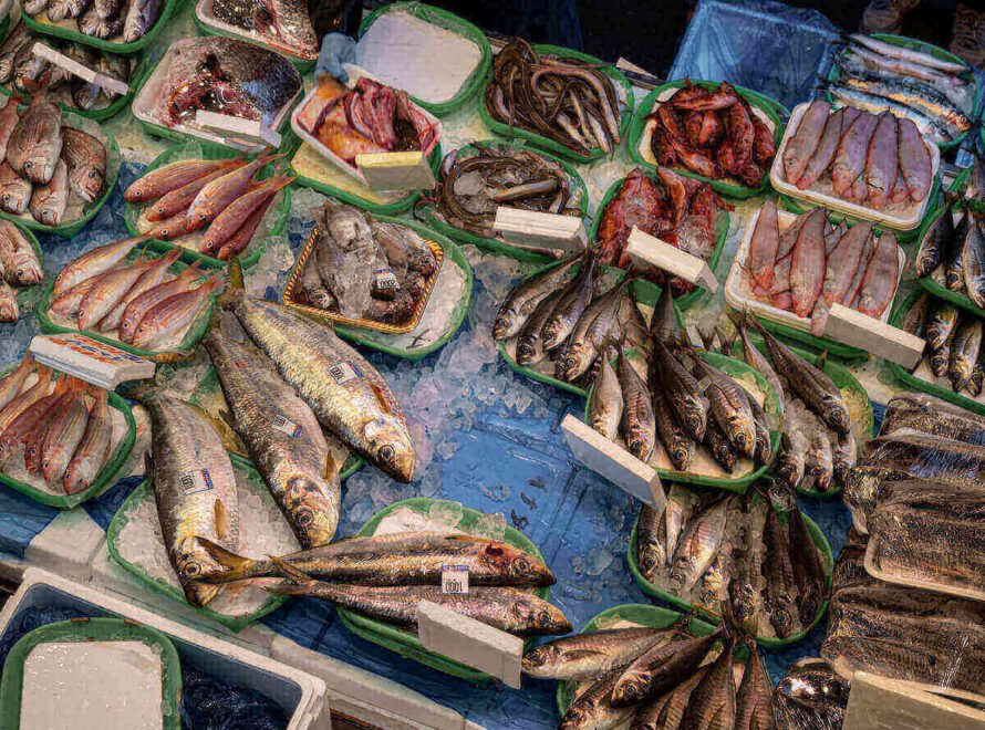 Fresh Fish Delivery in Nairobi What Customers Should Expect