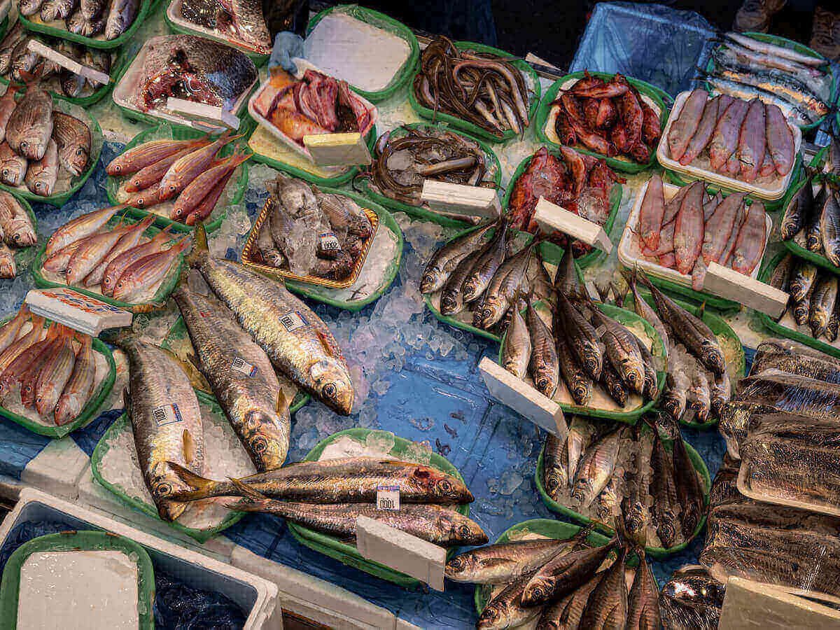 Fresh Fish Delivery in Nairobi What Customers Should Expect