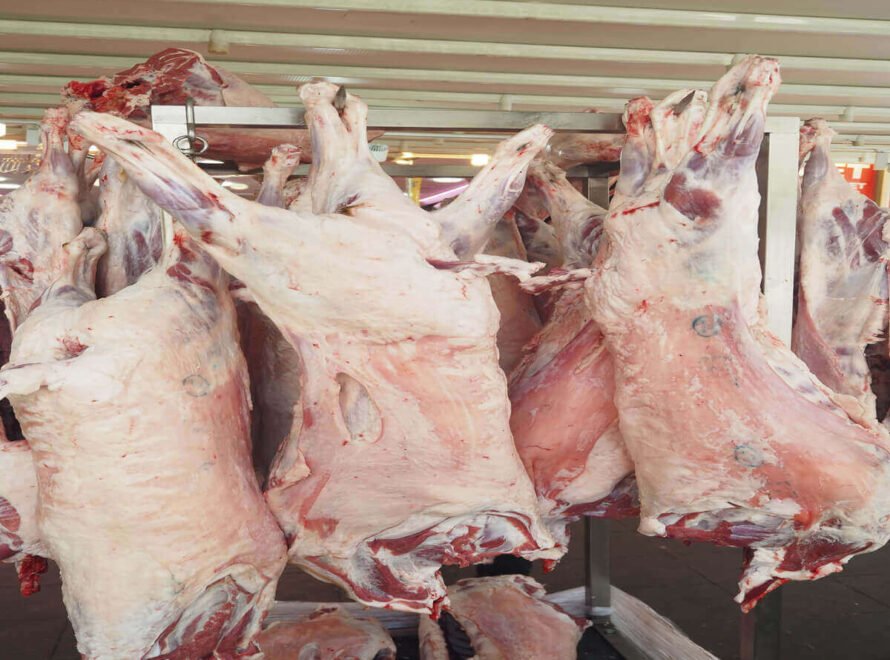 Goat Meat Supplier