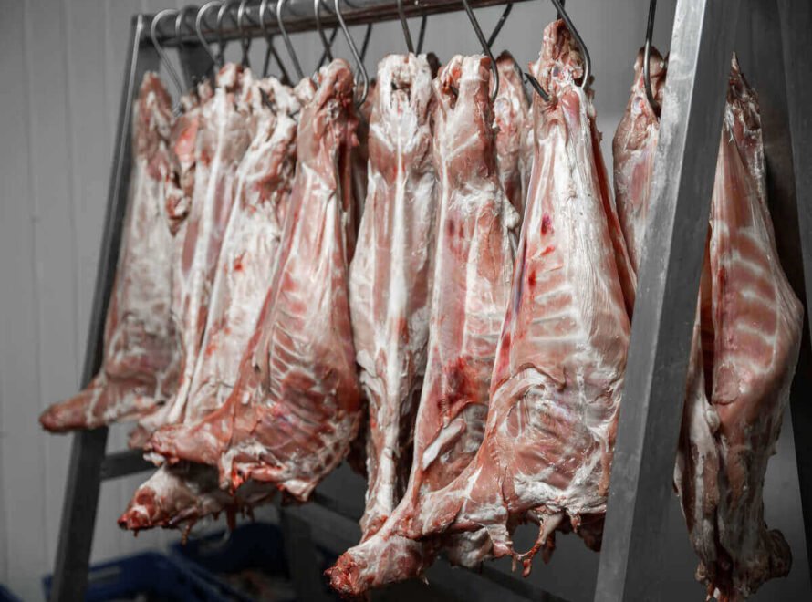Goat Meat Supplier in Kenya