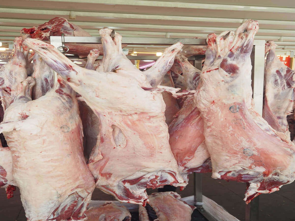 Goat Meat Supplier