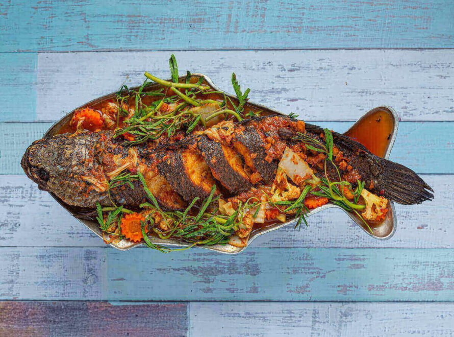 How Eating Fish Supports a Healthy Lifestyle