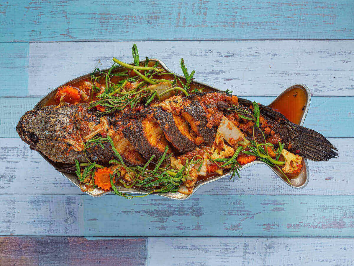 How Eating Fish Supports a Healthy Lifestyle