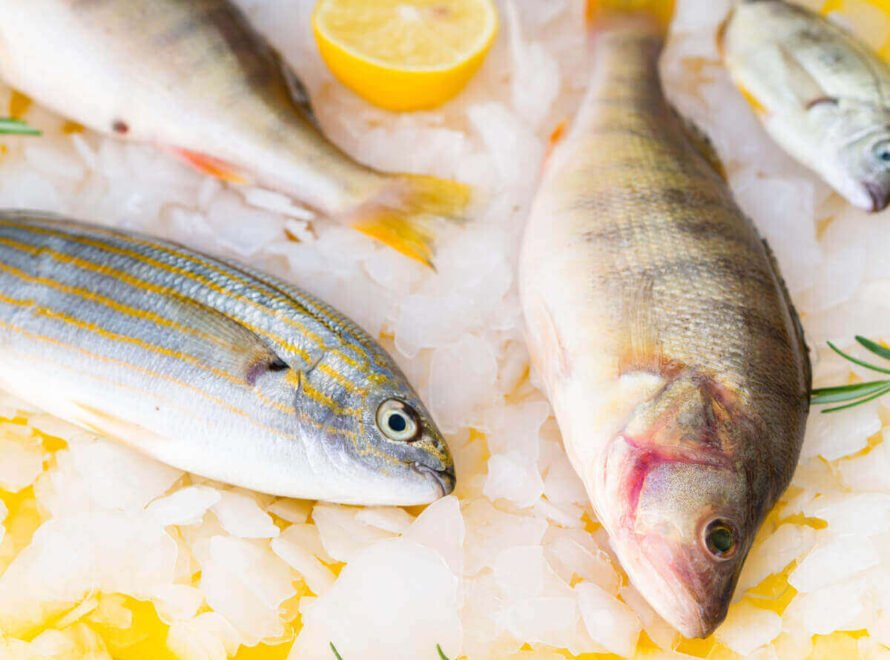 How Fish Is Processed Before It Reaches Your Table