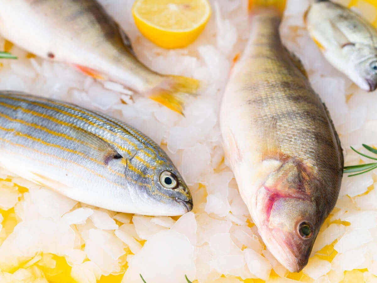 How Fish Is Processed Before It Reaches Your Table