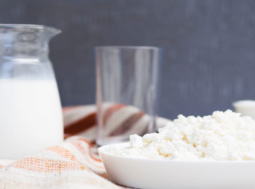 How White Cheese Is Made From Fresh Milk to Your Table