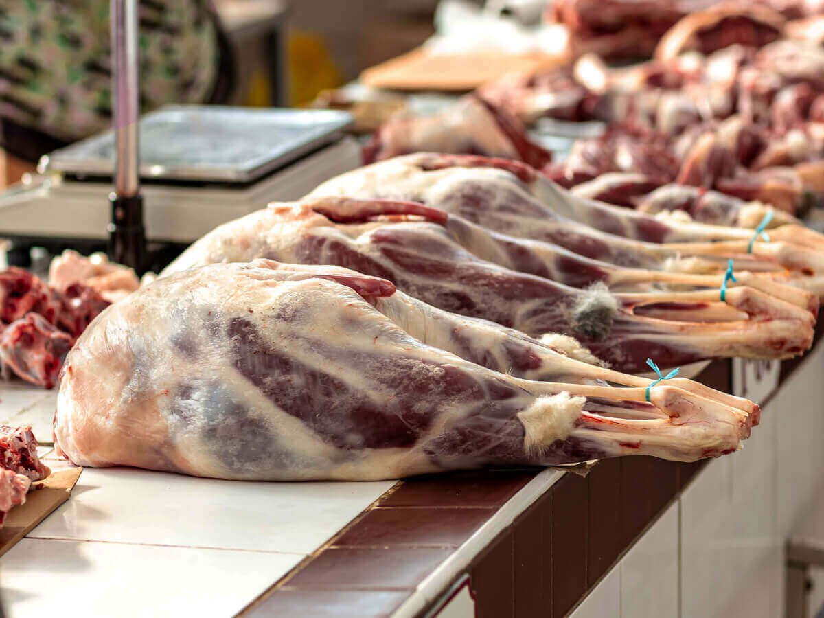 How to Choose Fresh Camel Meat in Kenya