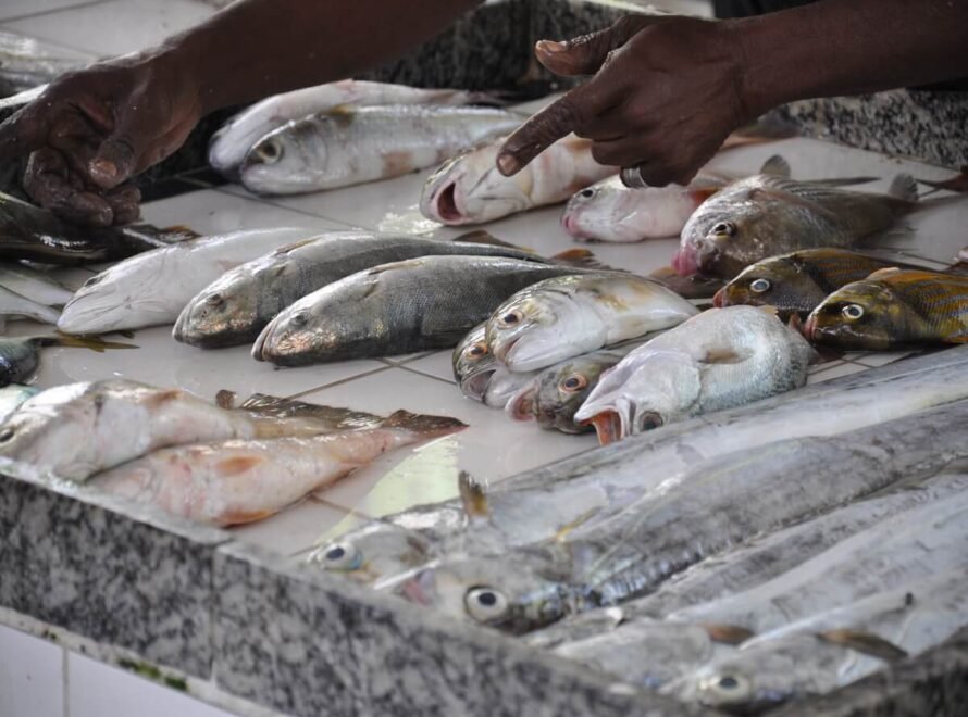How to Choose Fresh Fish in Nairobi Like a Pro