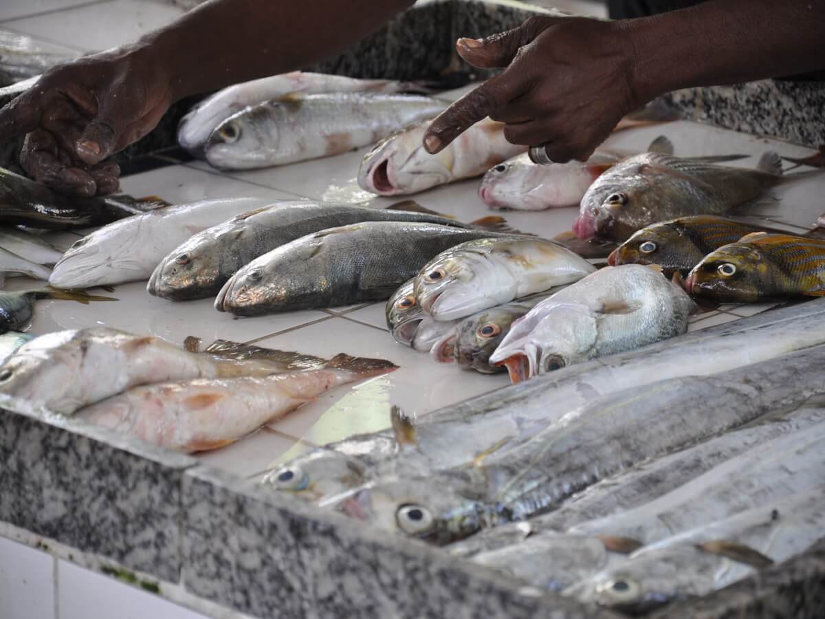 How to Choose Fresh Fish in Nairobi Like a Pro