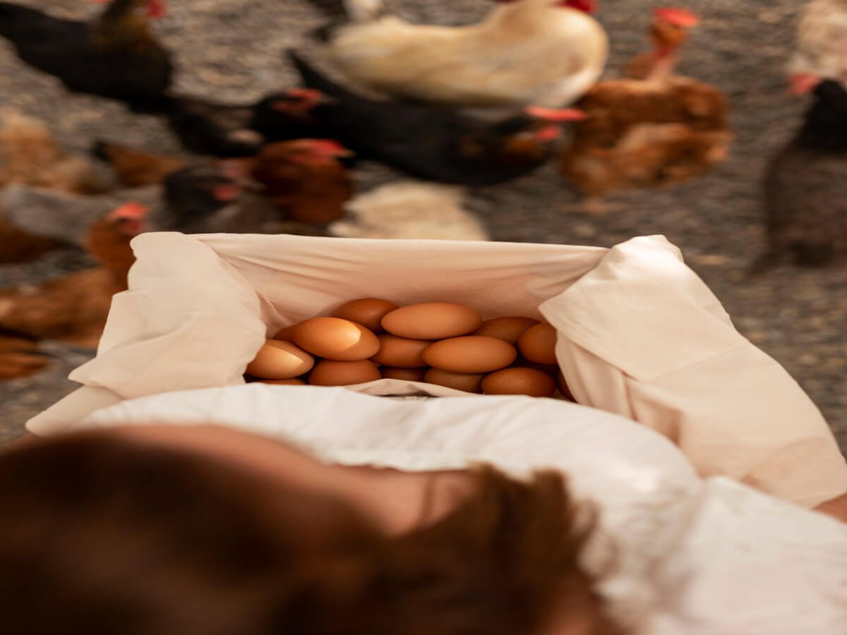 How to Choose a Chicken Supplier for Restaurants, Hotels, and Caterers in Nairobi