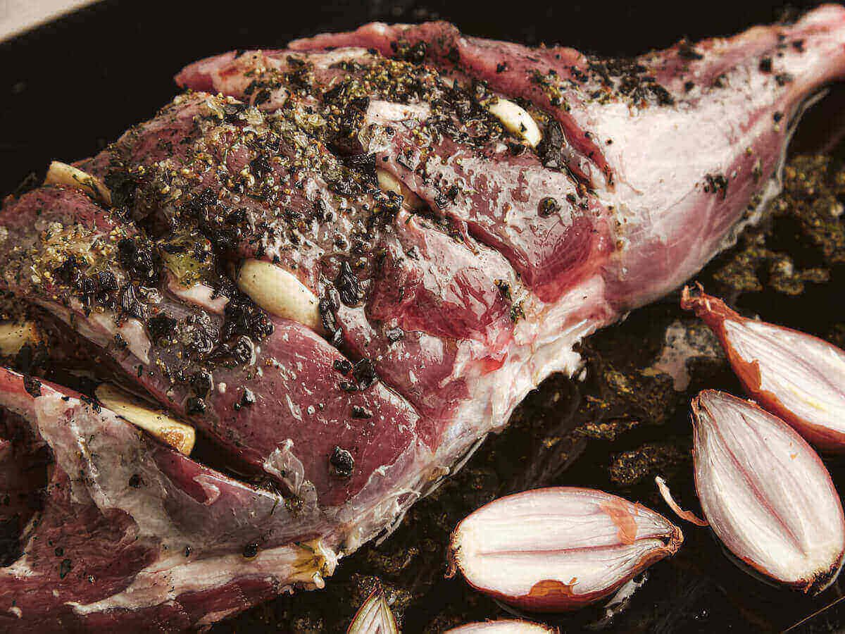 Is Camel Meat Good for Athletes and Active Lifestyles