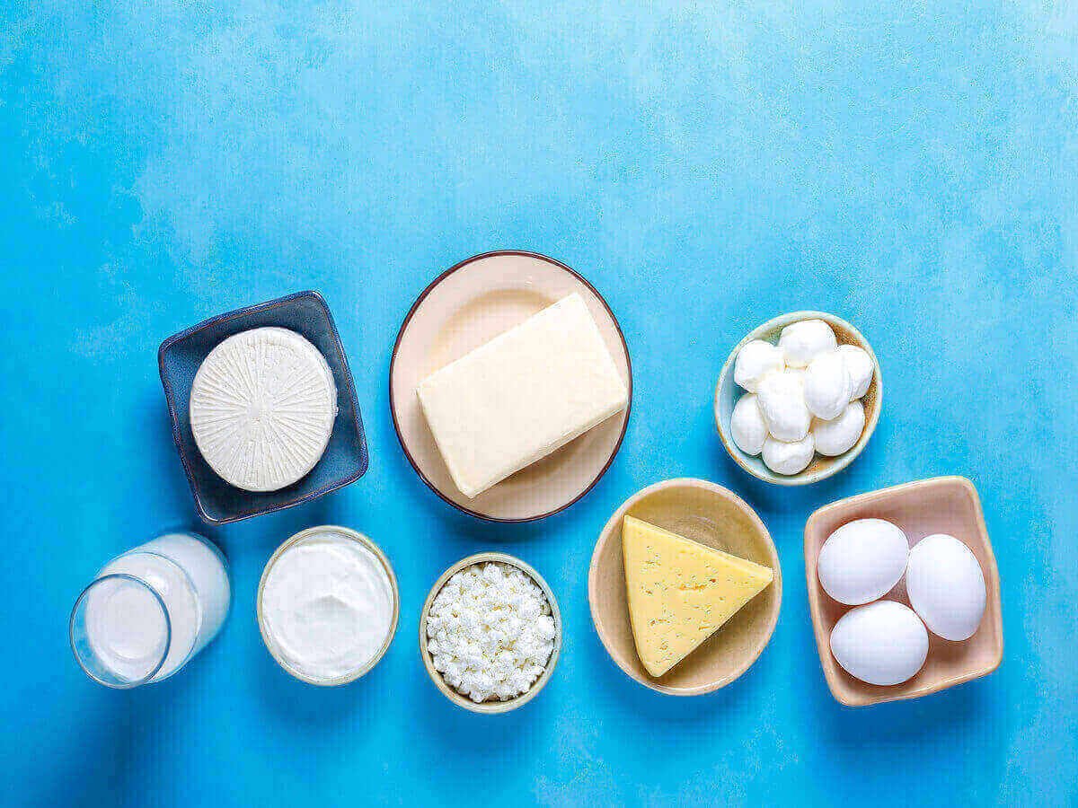 Mish vs Yogurt vs White Cheese What's the Difference