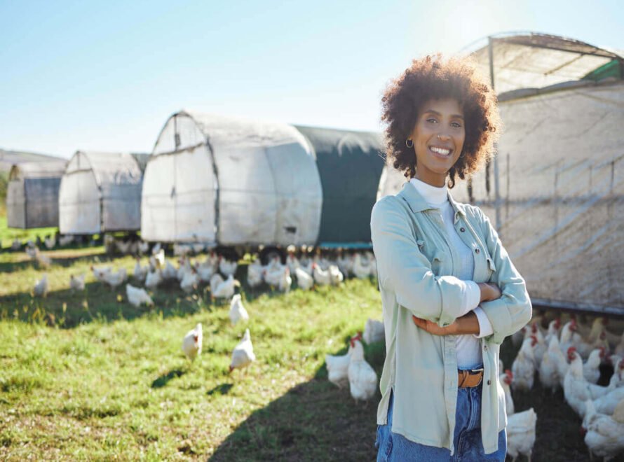 Poultry Farming in Kenya: A Complete Guide for Beginners