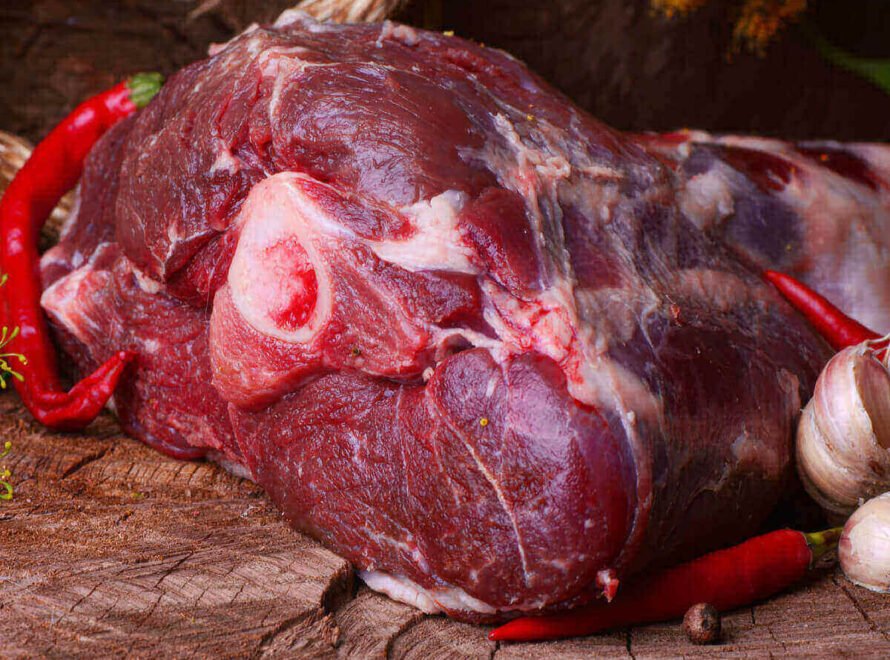 The Best Camel Meat Supplier in Kenya What to Look For