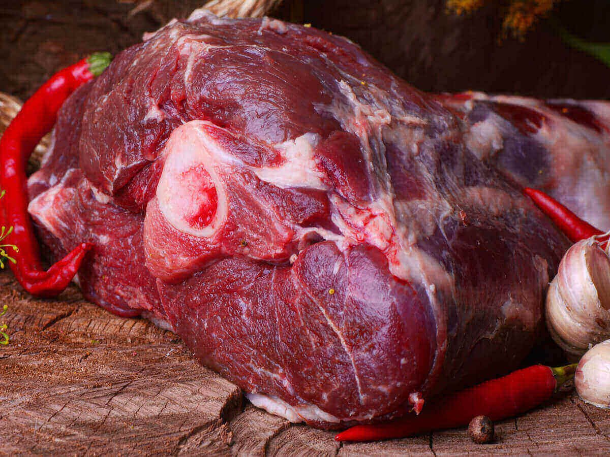 The Best Camel Meat Supplier in Kenya What to Look For
