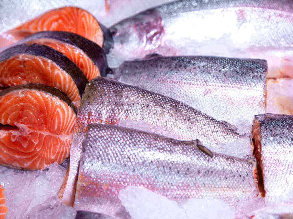 The Best Fresh Fish Supplier in Kenya