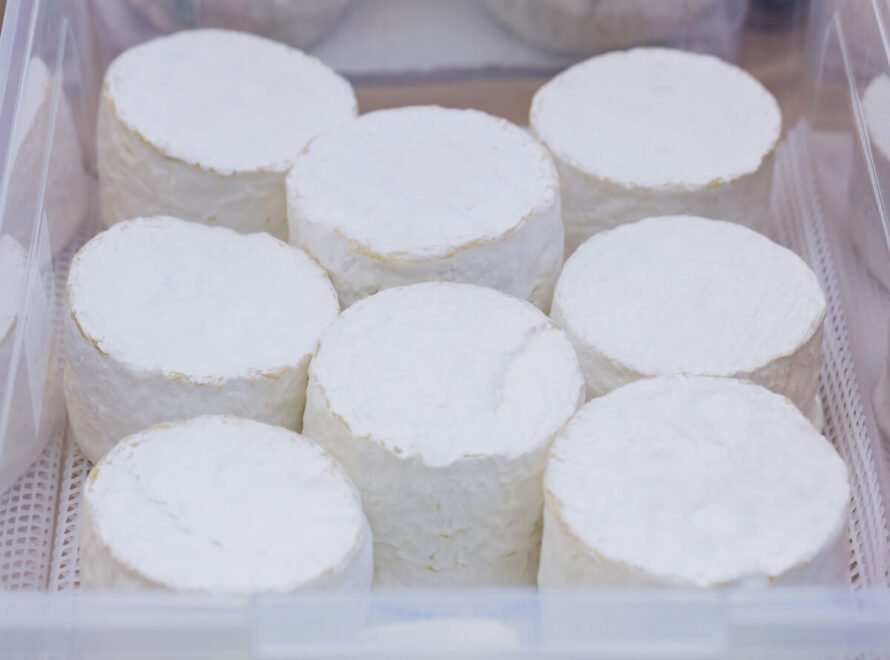 Where to Buy Fresh White Cheese in Nairobi