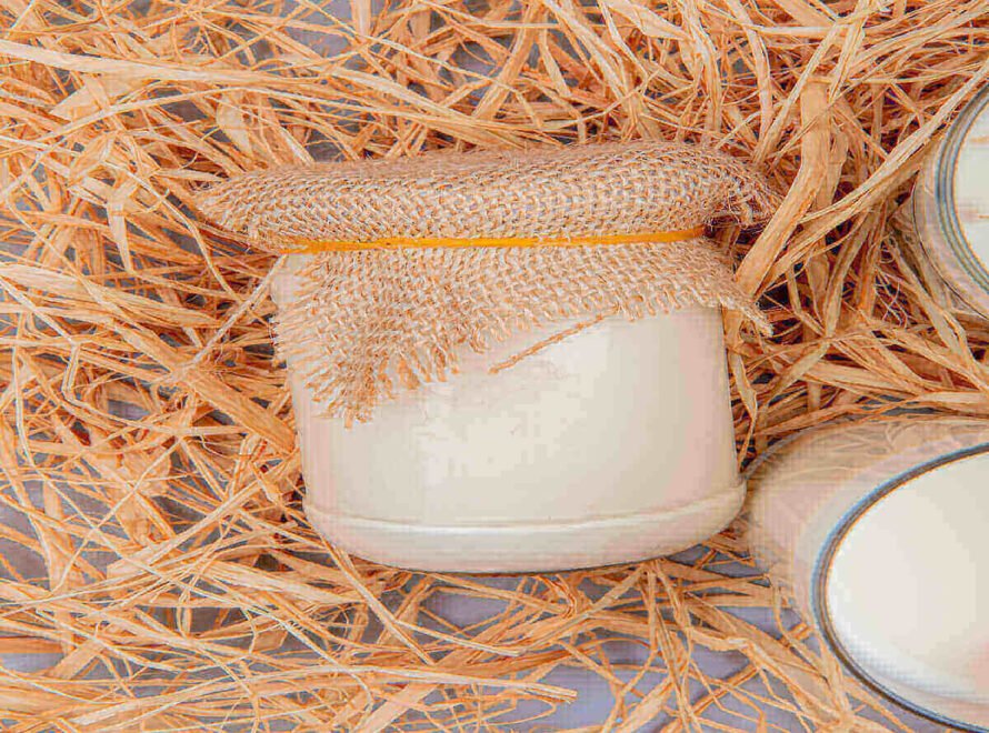 Why Authentic Mish Tastes Different from Other Fermented Dairy Products