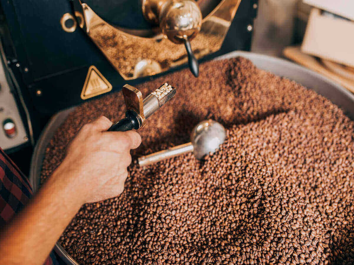 Why Soba Renaissance Is a Trusted Coffee Producer in Kenya