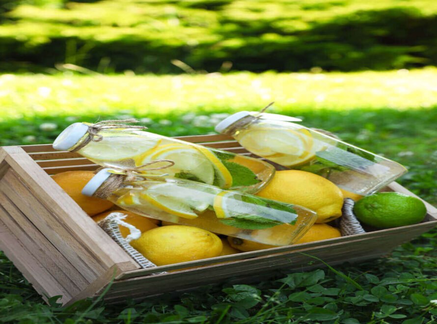 Why Soba Renaissance Is a Trusted Lemon Juice Concentrate Producer in Kenya
