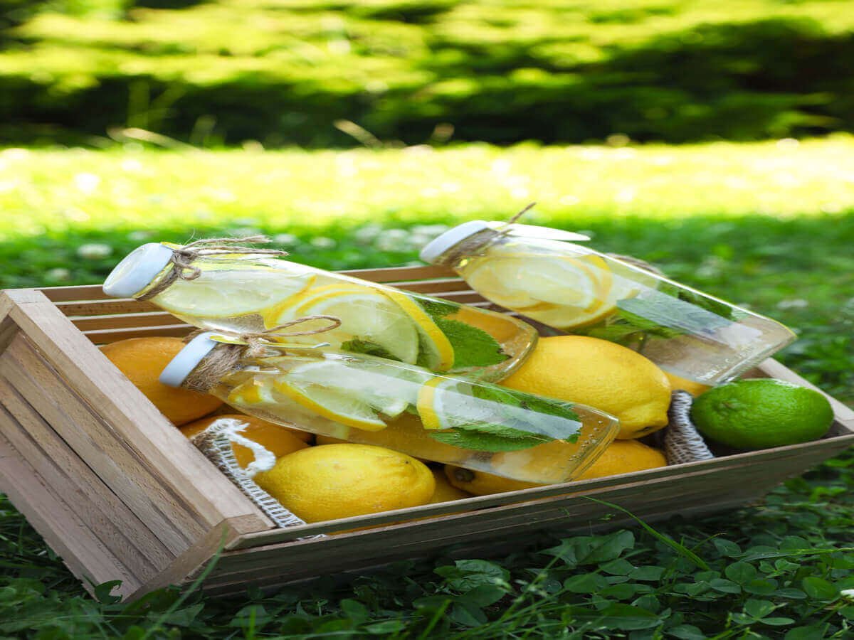 Why Soba Renaissance Is a Trusted Lemon Juice Concentrate Producer in Kenya