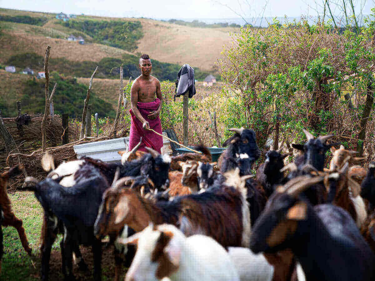 Why Supporting Kenyan Beef Farmers Matters