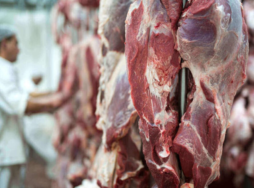 Why Traceability Matters When Buying Beef