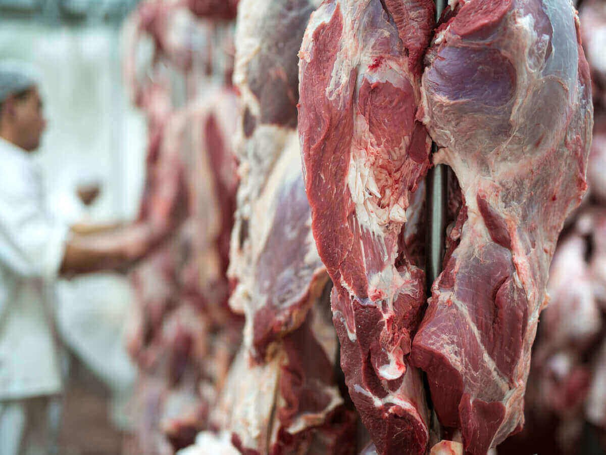 Why Traceability Matters When Buying Beef