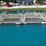 The Future of Fish Farming in Kenya