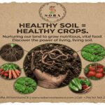 From Healthy Soil to Healthy Crops