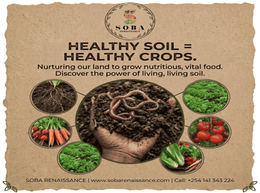 From Healthy Soil to Healthy Crops