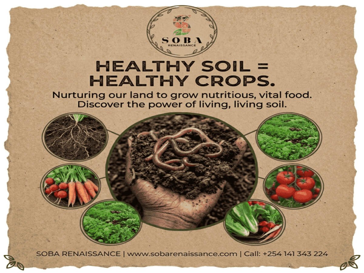 From Healthy Soil to Healthy Crops